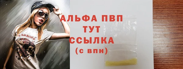 ГАЛЛЮЦИНОГЕННЫЕ ГРИБЫ Магас